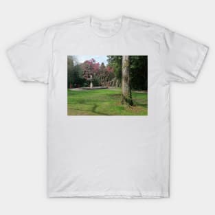 An ageless fountain T-Shirt